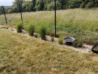 Pronájem zahrady - 11