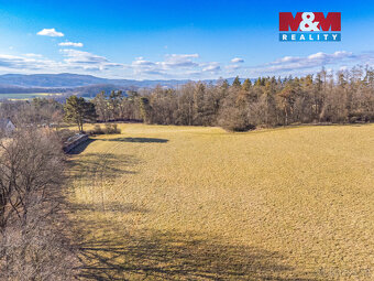 Prodej louky, 11767 m², Benešov - 11