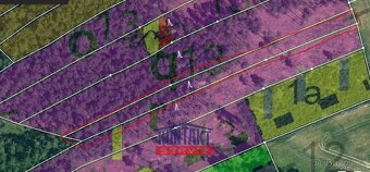 Prodej unikátních lesních pozemků v katastrálním území Hodyn - 11