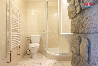 Prodej hotelu, penzionu, 497 m², Mařenice - 11