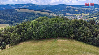 Prodej louky, 14409 m², Prlov - 11