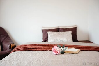 Pronájem pokoje s venkovním posezením, Mrzky u Českého brodu - 11
