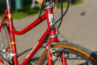 Vintage dámské silniční kolo Technobull - 11