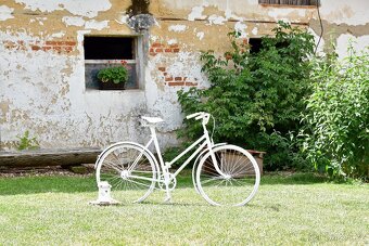 Slavobrána staré dveře, bílé kolo - 11