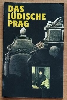 Němčina - slovníky, učebnice, průvodci. - 11