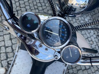 Skutr ZN-125T-K Casabike Beggie/Brown City Cruiser - 11