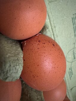 obytný polointegrovany vůz Giottiline Siena 395 pro 5 os. - 11