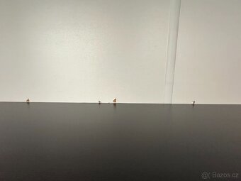 Černá skříň - 11