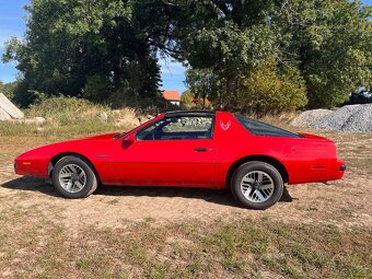 Pontiac Firebird 5.0 V8 Targa 1989 - 11