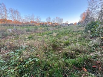 Prodej, pozemek 4200m2 - 11