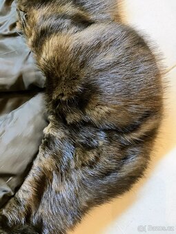 Luxusní kožich z pravé kožešiny Kara Trutnov velikost 48 - 11