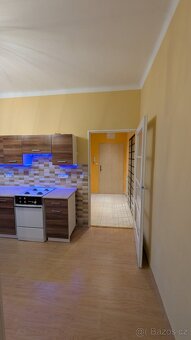 (REZERVACE) Pronájem, prostorný byt 1+1 53 m - 11