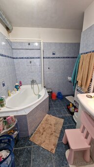 Dům se zahradou 3+1 - 11