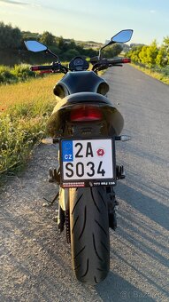 Kawasaki ER6n (2008) – 53 kW - 11