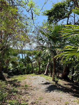 Atocha Lot 1&2 -First Bight, Roatan - 11