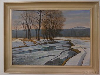 Obraz horského jezera + další obrazy - 11