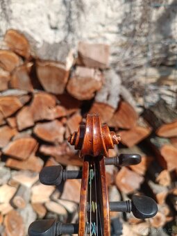 Housle Prokop očkový javor - 11