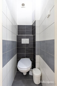 Pronájem bytu 3+kk, Talafúsova, Braník,   64 m2 - 11