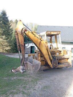 Irský cob-kobylka předběžná rezervace - 11