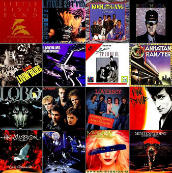 Prodám svou sbírku gramofonových desek - 40,41 - 11