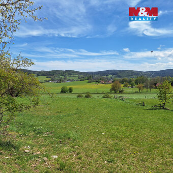 Prodej louky, 5 959 m², Zdíkov - 11