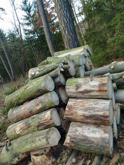 Palivové dřevo - 11