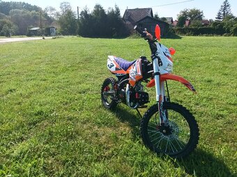 Pitbike By Apollo Jaguar 125cc 17/14 E-Start oranžová - 11