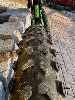 Trek Fuel EX 7 29” 2014 - 11
