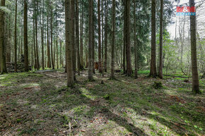 Prodej 1/3 lesa, 2967 m², Čachrov - 11