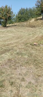 Pozemek Přečaply - 11