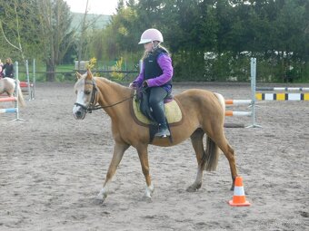 pony klisna - 11