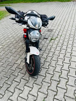 Ducati Monster 696 - 11