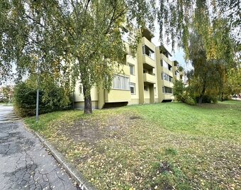 Pronájem bytu 2+1, St. Živného, Mikulov - 11
