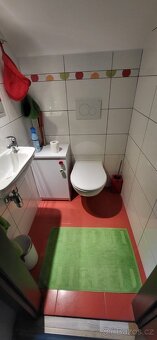 Prodám rodinný dům - 11