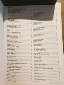 Český jazyk a literatura - 11