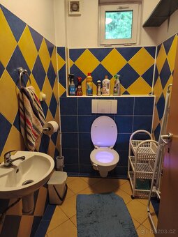 Pronájem chalupy na Vysočině - 11
