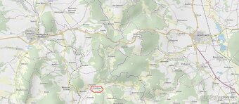 Prodám lesní pozemek v k.ú. Pěčíkov - 11