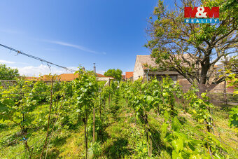 Prodej zemědělské usedlosti 263m² s pozemkem 1250m², Šumice - 11