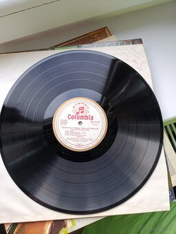 Staré nepoškozené vinylové desky - 11
