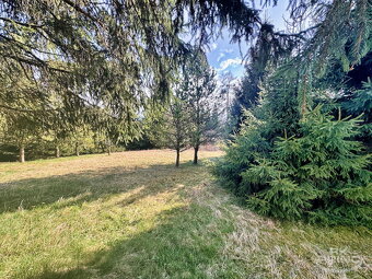 Prodej chalupy na pozemku 2.386 m2, Krásná Lípa, část Vlčí H - 11