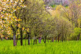 Prodej stavební parcely 2072 m2 Starý Hrozenkov - 11