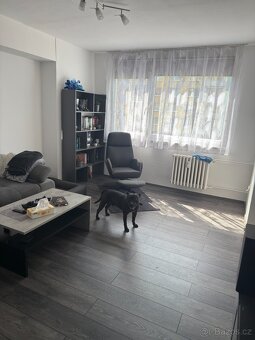 Prodej bytu Mladá Boleslav Havličkova - 11