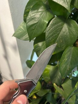 Herbertz 594212 zavírací nůž - 11