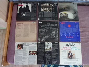 9x LP - GRAMOFONOVÁ DESKA - COUNTRY, FOLK, POP, ROCK... - 11