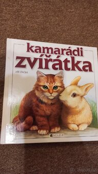 Knihy pro děti - 11