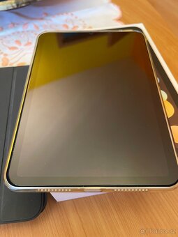 iPad mini 6 64 GB Cellular Gold - 11