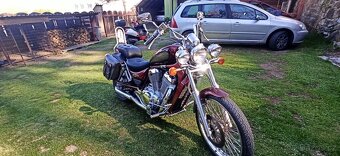Suzuki VS 800 GL Intruder - 11