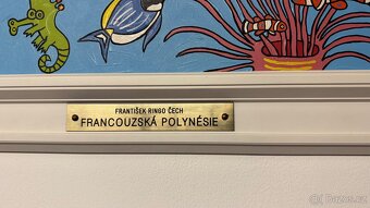 František Ringo Čech - 11