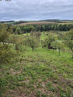 Zahrada ve lhotské Staré hoře - 11