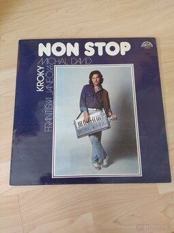 Prodám větší množství LP - domácí (seznam č.2.) - 11
